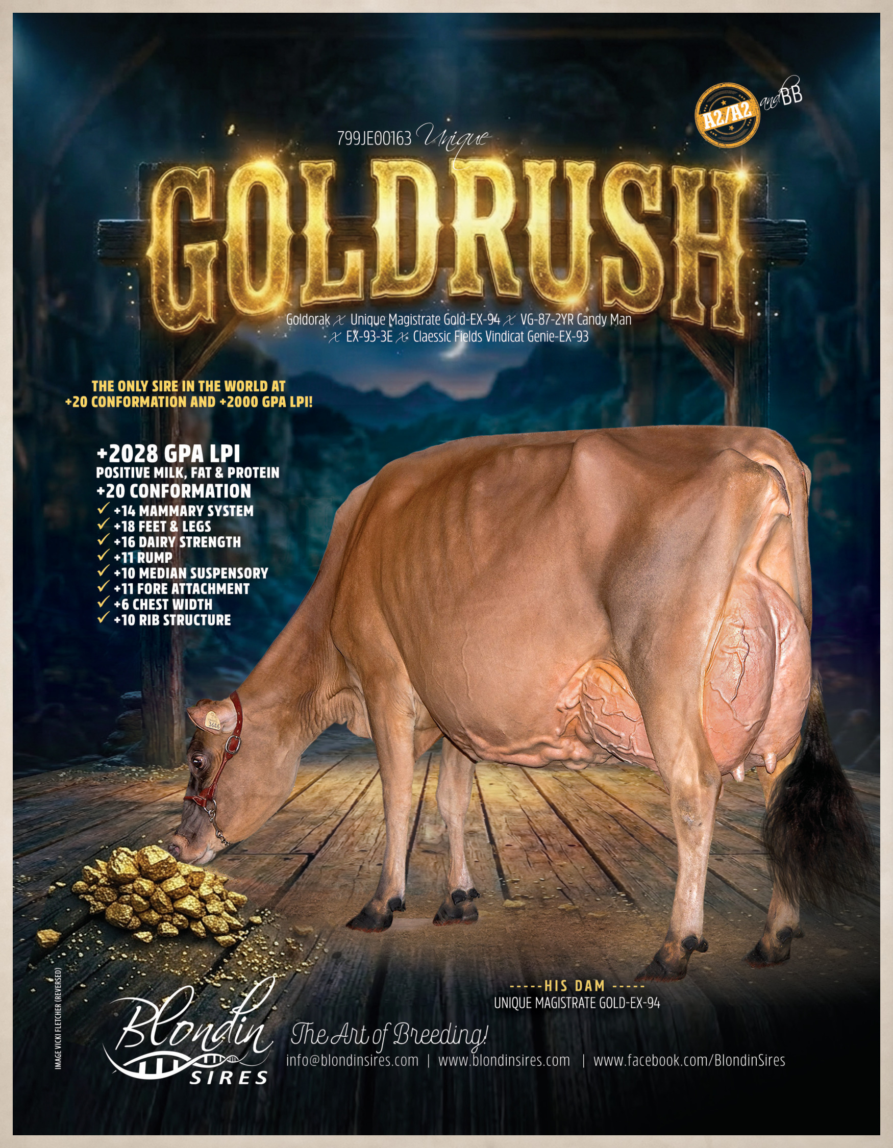 GOLDRUSH — 799JE00163